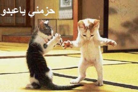 3abdo